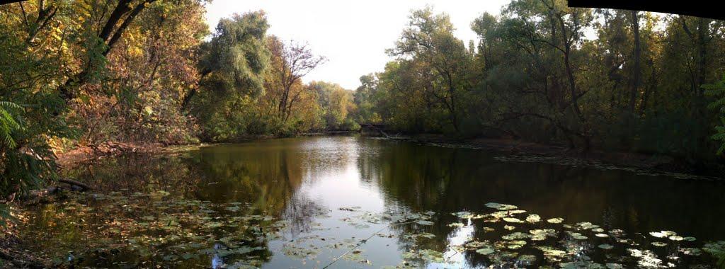 Кушугум з panoramio.com - Кушугум