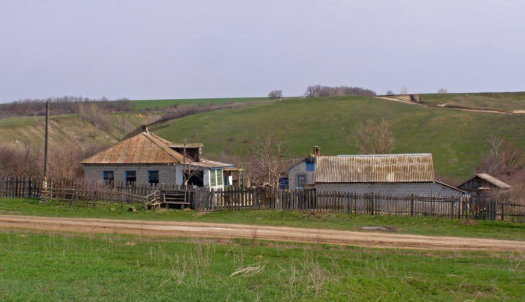 Кам'янка з panoramio.com - Каменка