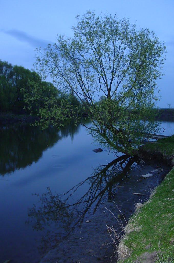 Лудин з panoramio.com - Лудин