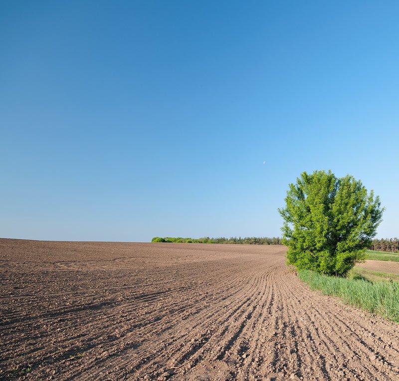 Гулі з panoramio.com - Гулі