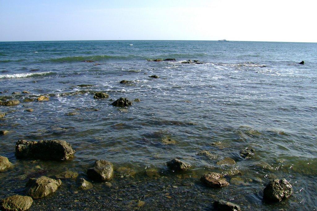 Щебетовка з panoramio.com (ч.2) - Щебетовка