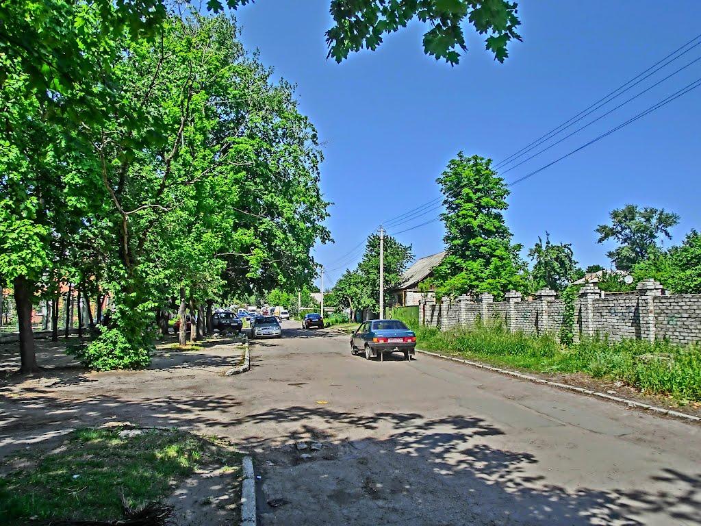 Олександрія з panoramio.com (ч.3) - Олександрія