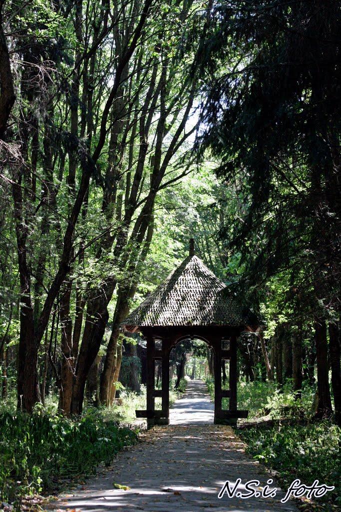 Тересва з panoramio.com - Тересва