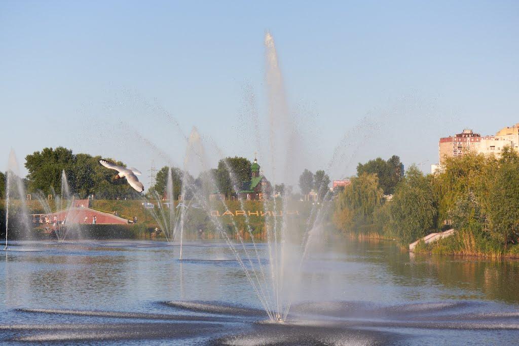 Гнідин з panoramio.com (ч.3) - Gnidyn