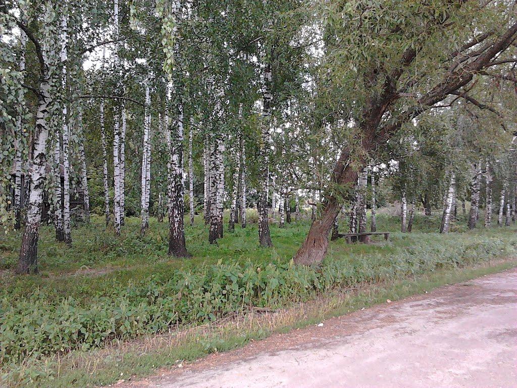 Слоут з panoramio.com - Слоут