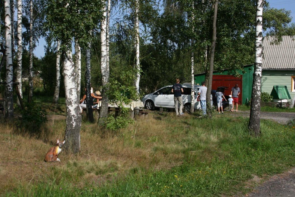 Вересівка з panoramio.com - Вересівка