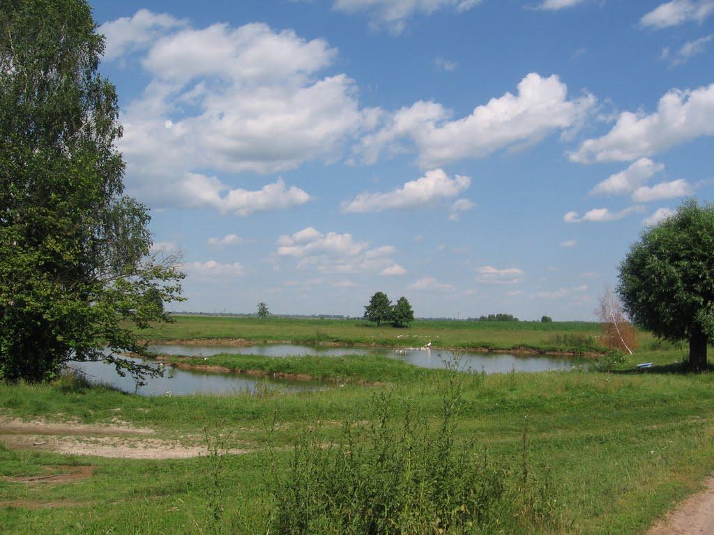 Розвинівка з panoramio.com - Розвинівка