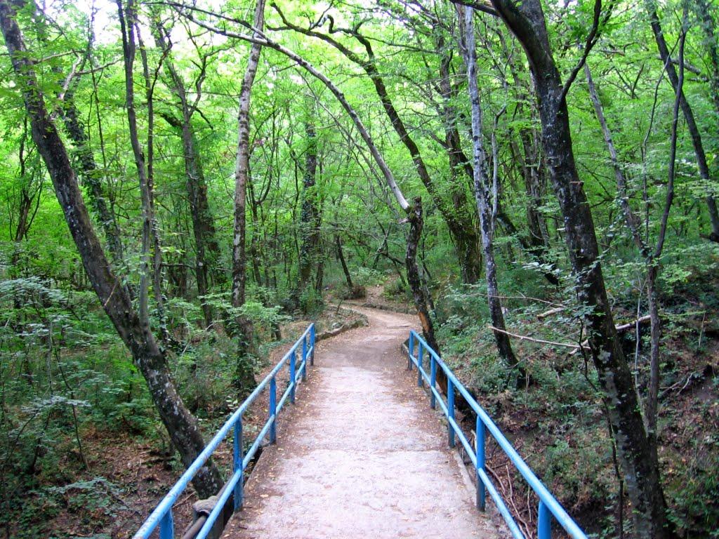 Курпати з panoramio.com - Курпати