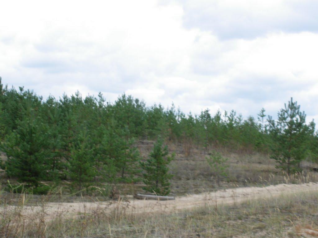 Яцьківка з panoramio.com - Яцьківка