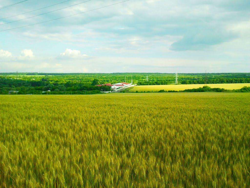 Луганське з panoramio.com (ч.2) - Луганское
