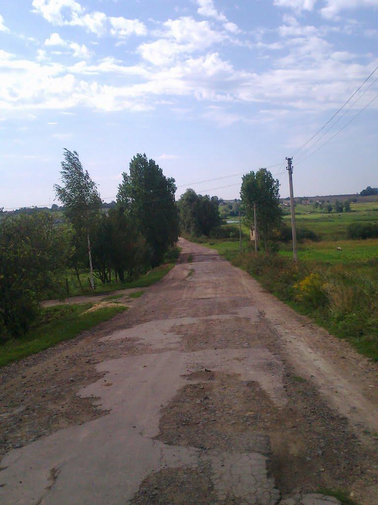 Сатиїв з panoramio.com - Сатиїв