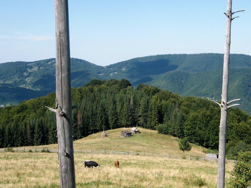 Брустурів з panoramio.com - Брустуров