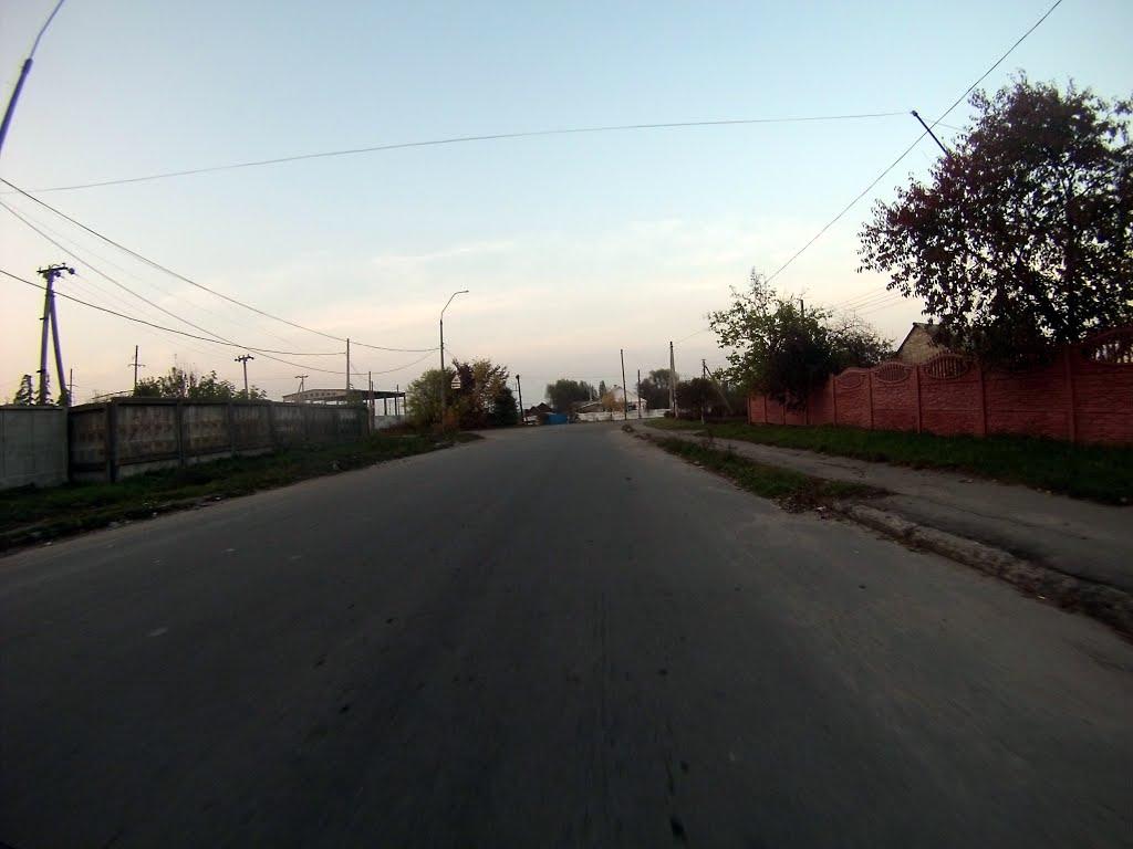 Новоград-Волинський з panoramio.com (ч.3) - Новоград-Волинський