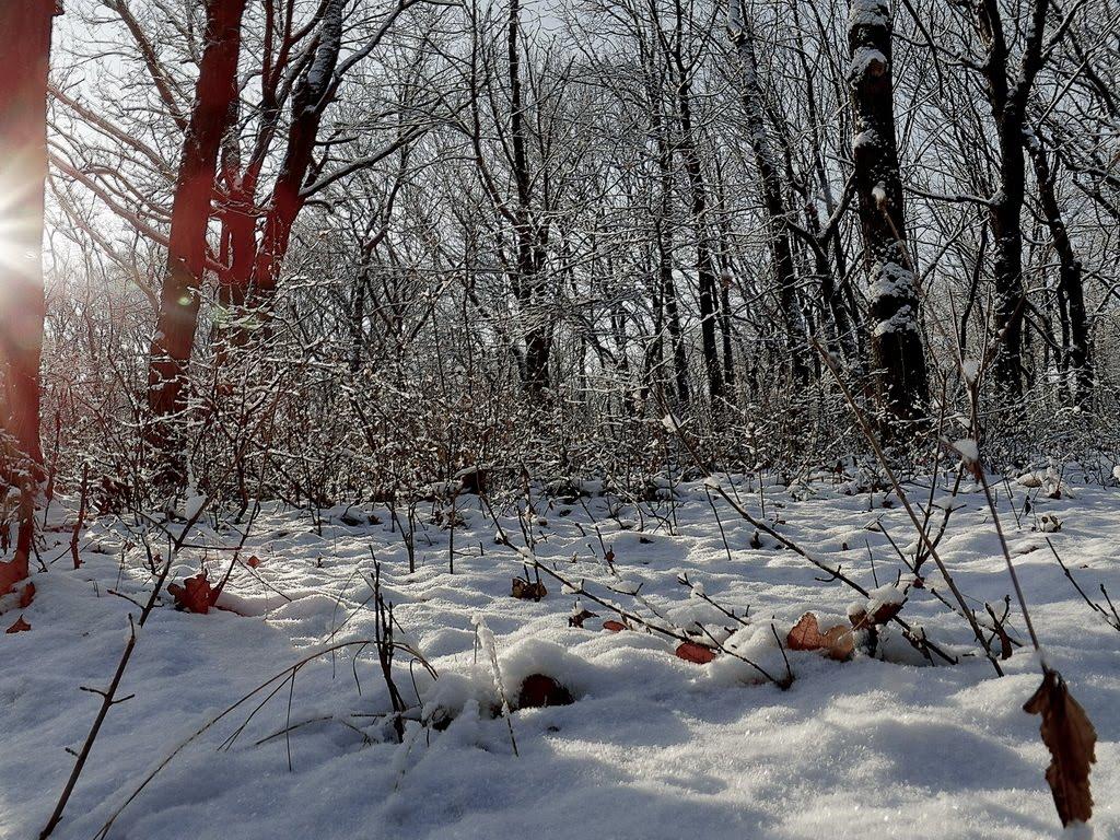 Кіровське з panoramio.com - Кировское