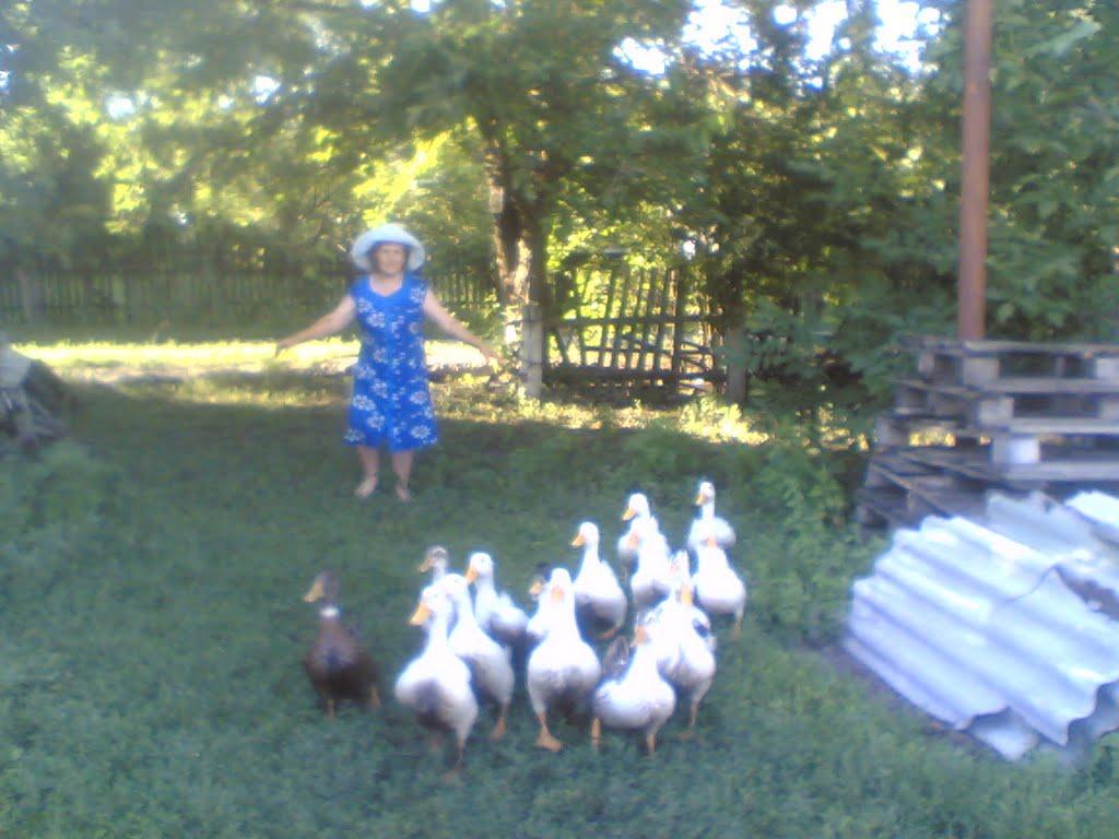 Любівка з panoramio.com - Любівка