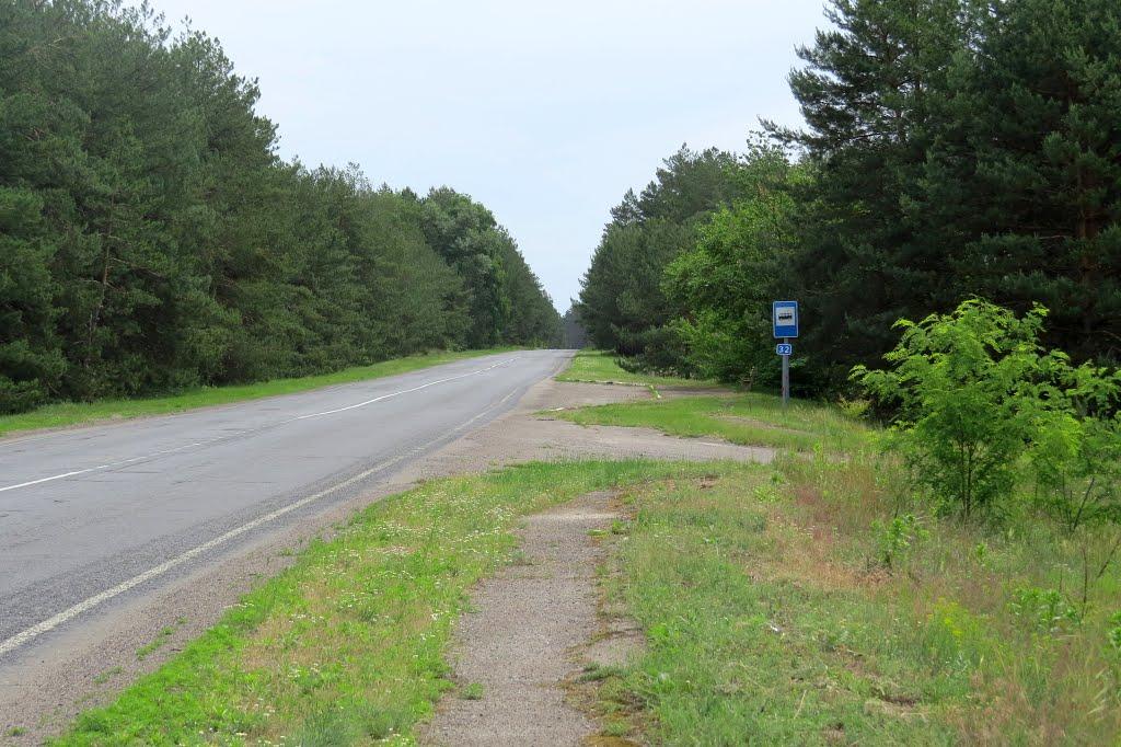 Софіївка з panoramio.com - Софиевка