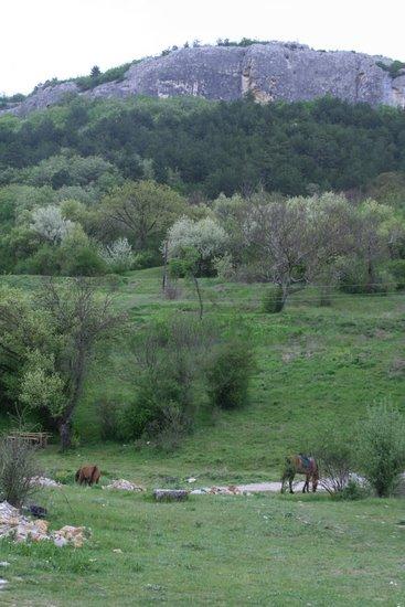 Залісне з panoramio.com (ч.2) - Залісне