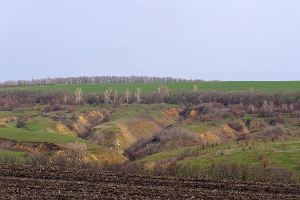 Кам'янка з panoramio.com - Кам'янка