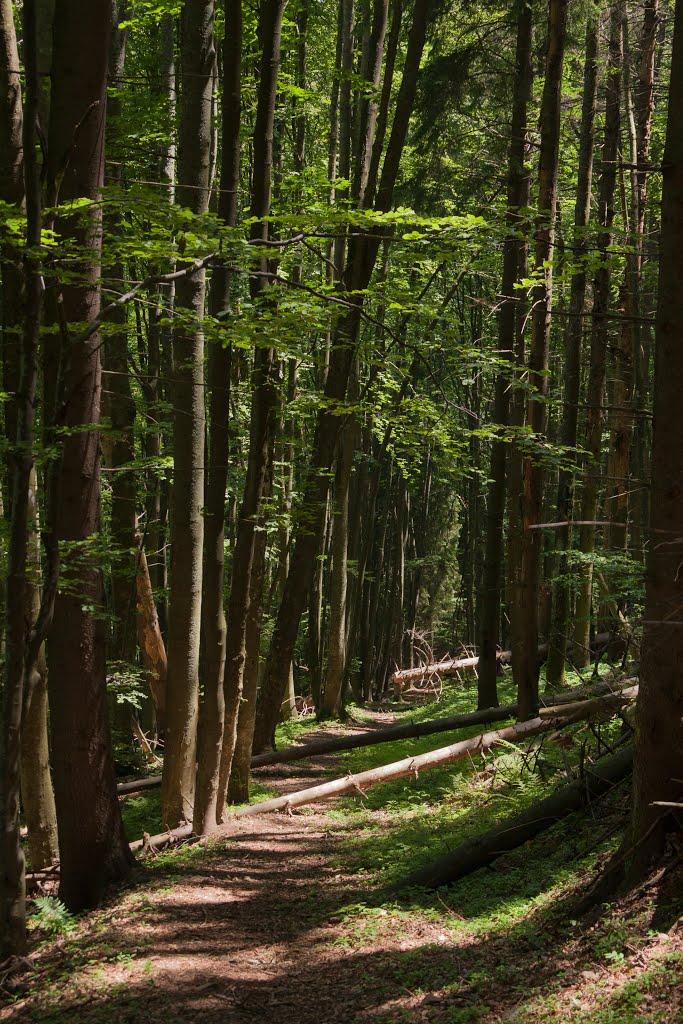 Воловець з panoramio.com - Воловець