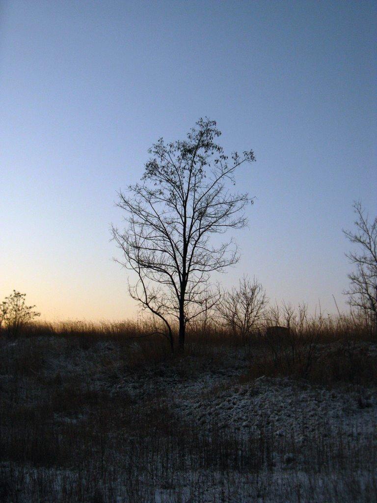 Шкільне з panoramio.com - Школьное