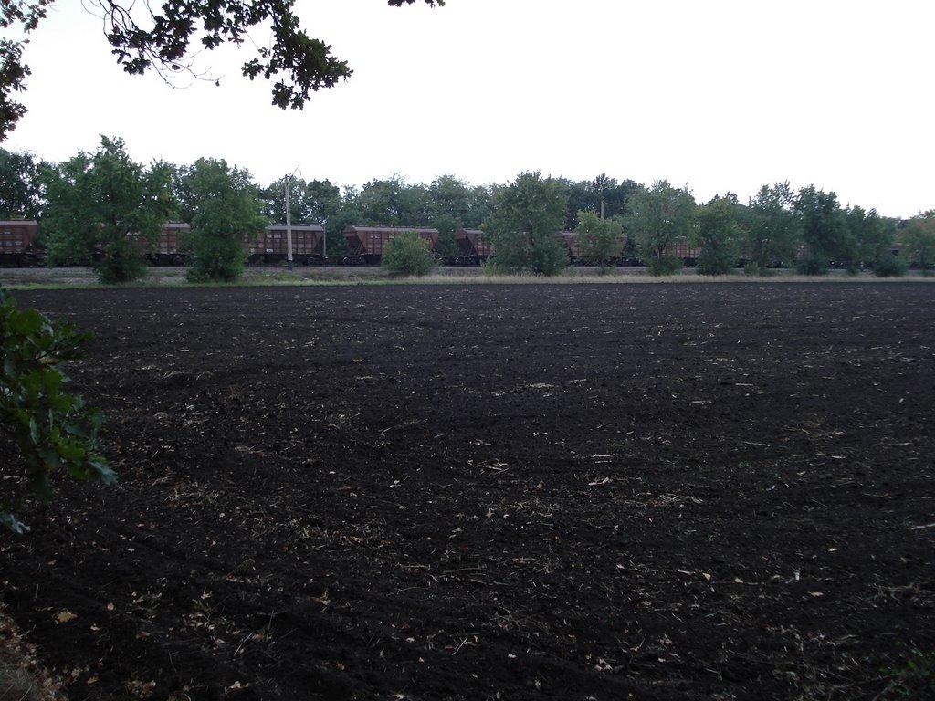 Раухівка з panoramio.com - Раухівка