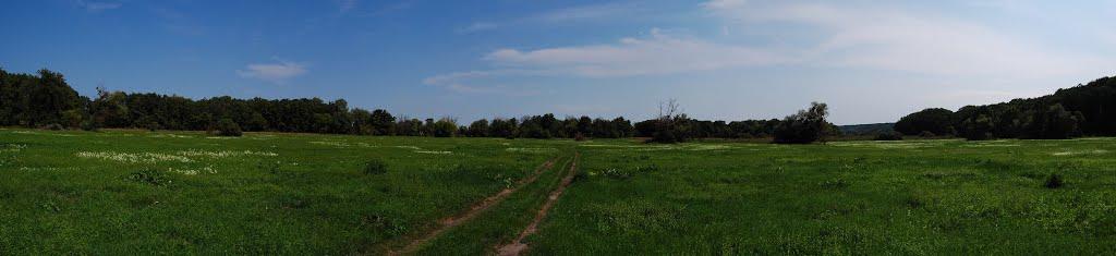 Суха Гомільша з panoramio.com - Суха Гомільша