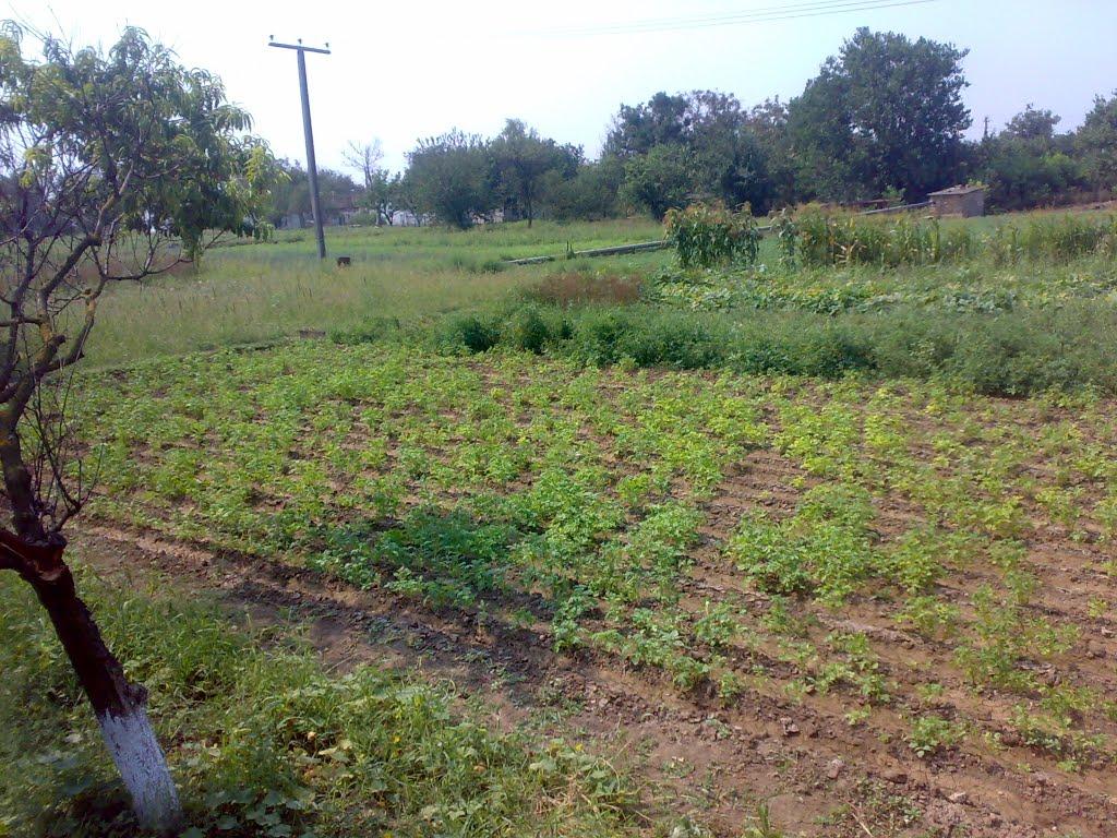 Магазинка з panoramio.com - Магазинка