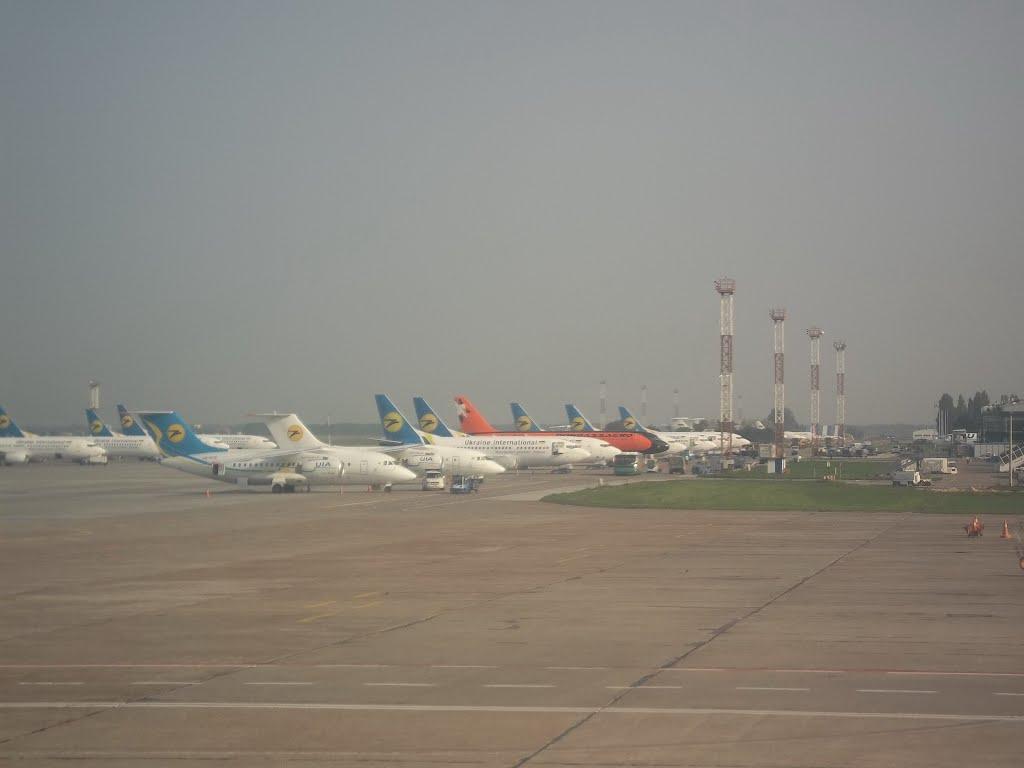 Мартусівка з panoramio.com - Мартусівка