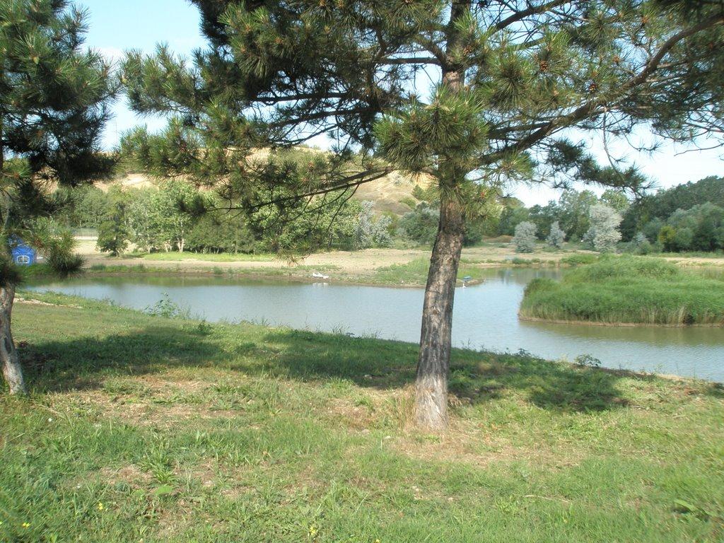 Піщане з panoramio.com - Піщане