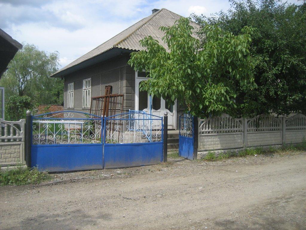 Негринці з panoramio.com - Негринці