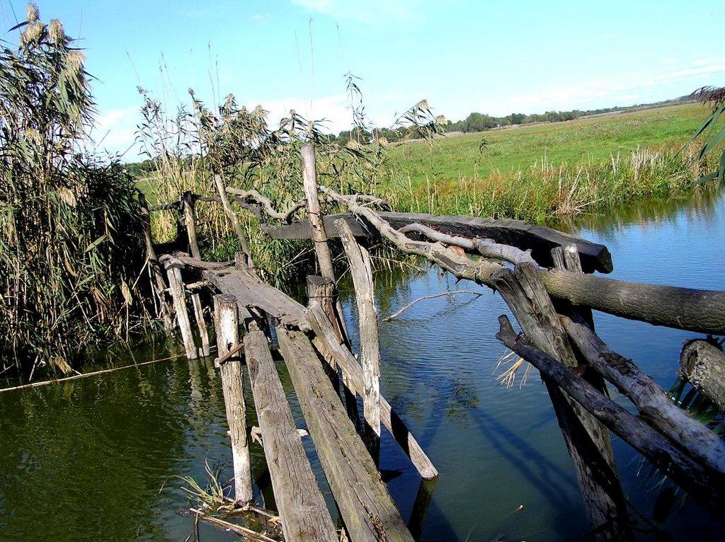 Кути з panoramio.com - Кути