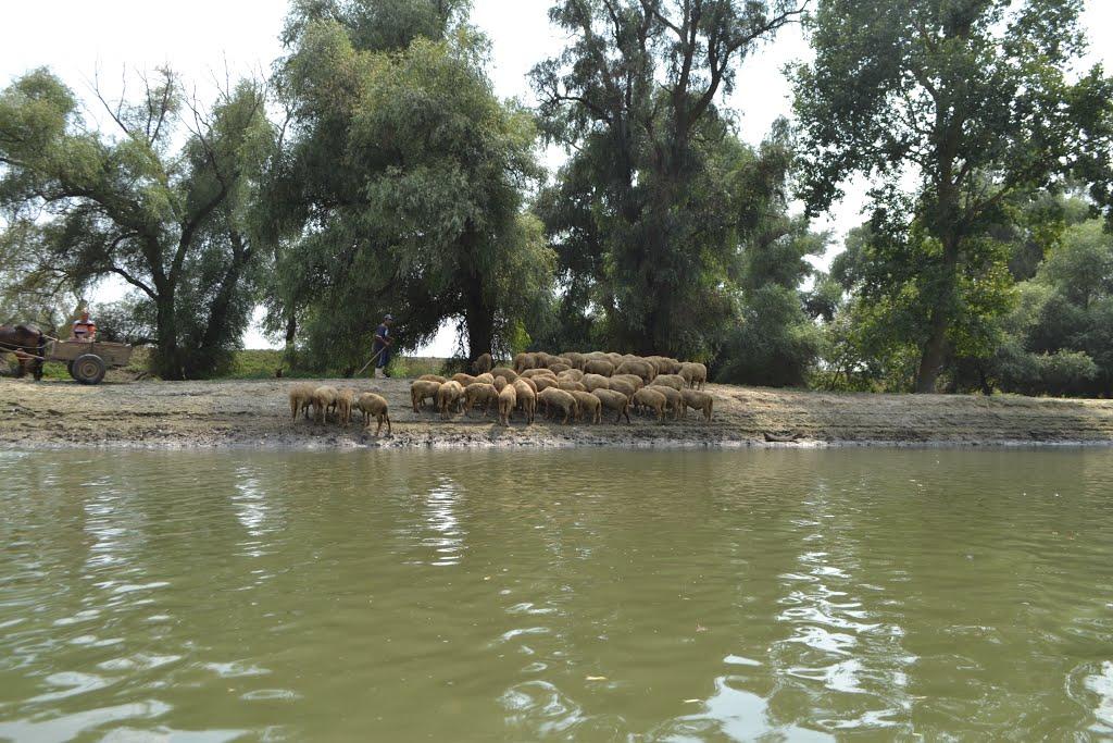 Кілія з panoramio.com (ч.2) - Кілія