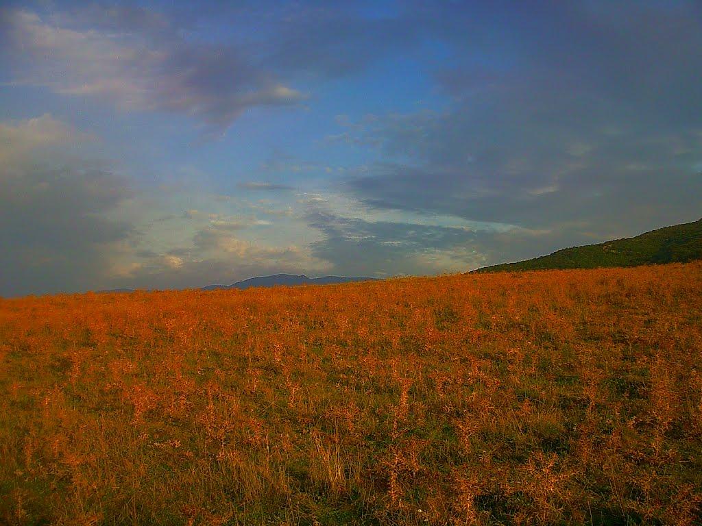 Богатир з panoramio.com - Богатырь