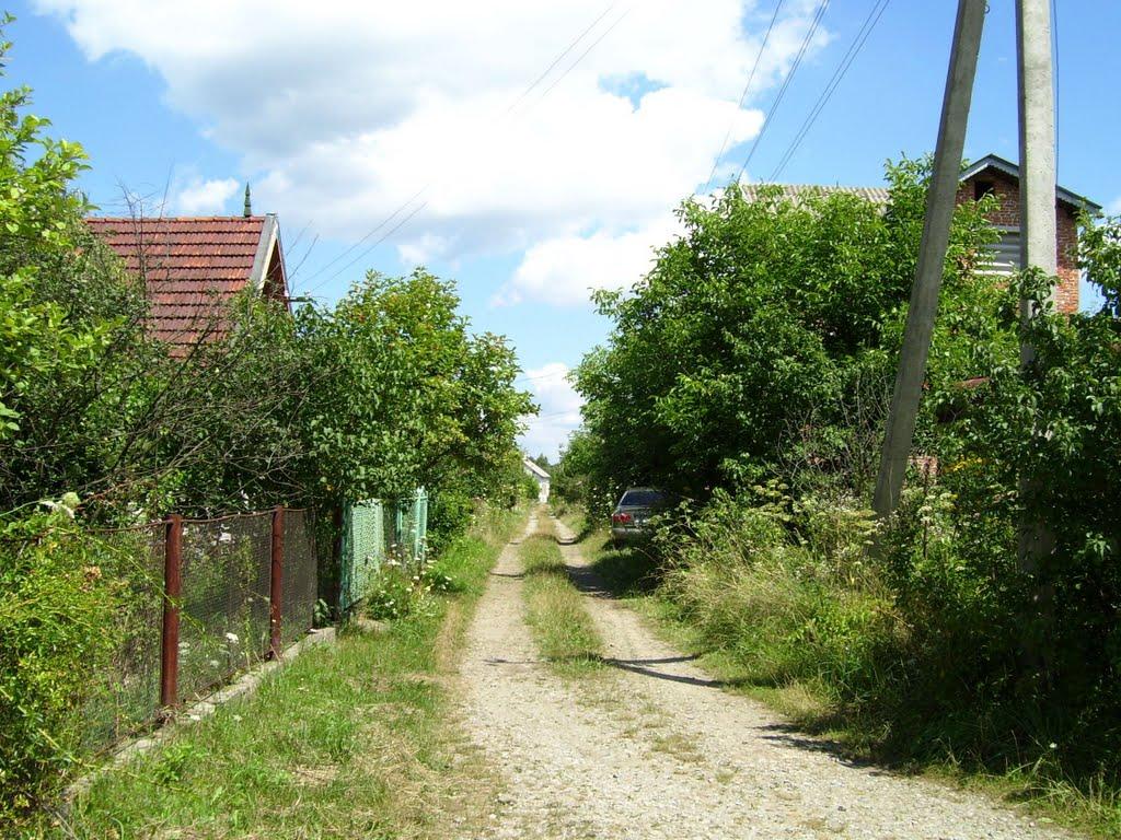 Липівка з panoramio.com - Липівка