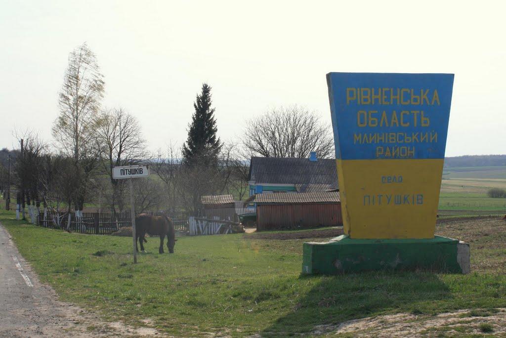 Пітушків з panoramio.com - Пітушків