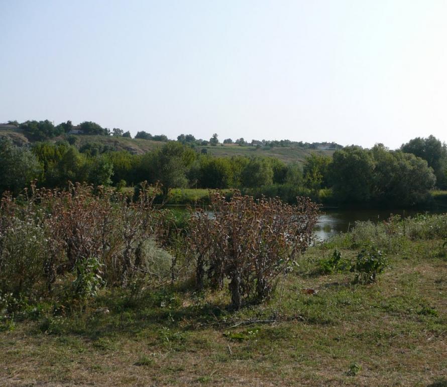 Мигія з panoramio.com - Mygiya