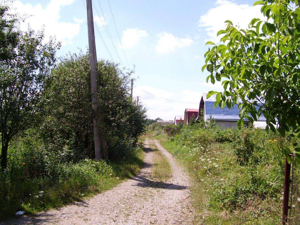 Липівка з panoramio.com - Липівка