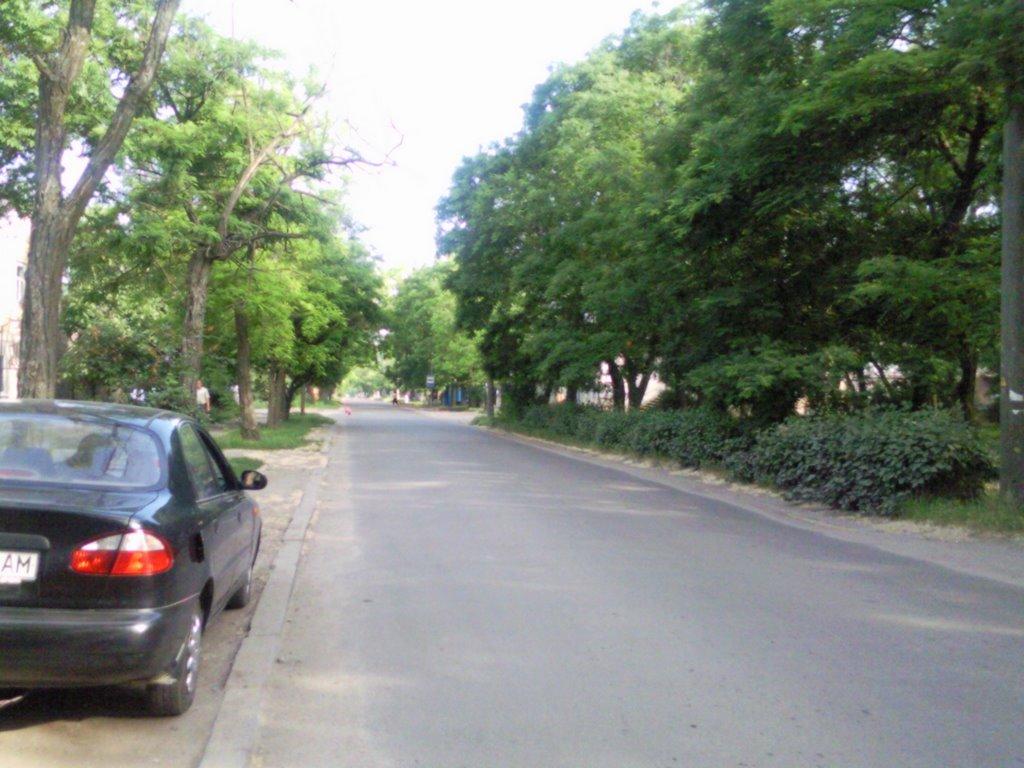 Очаків з panoramio.com - Очаков