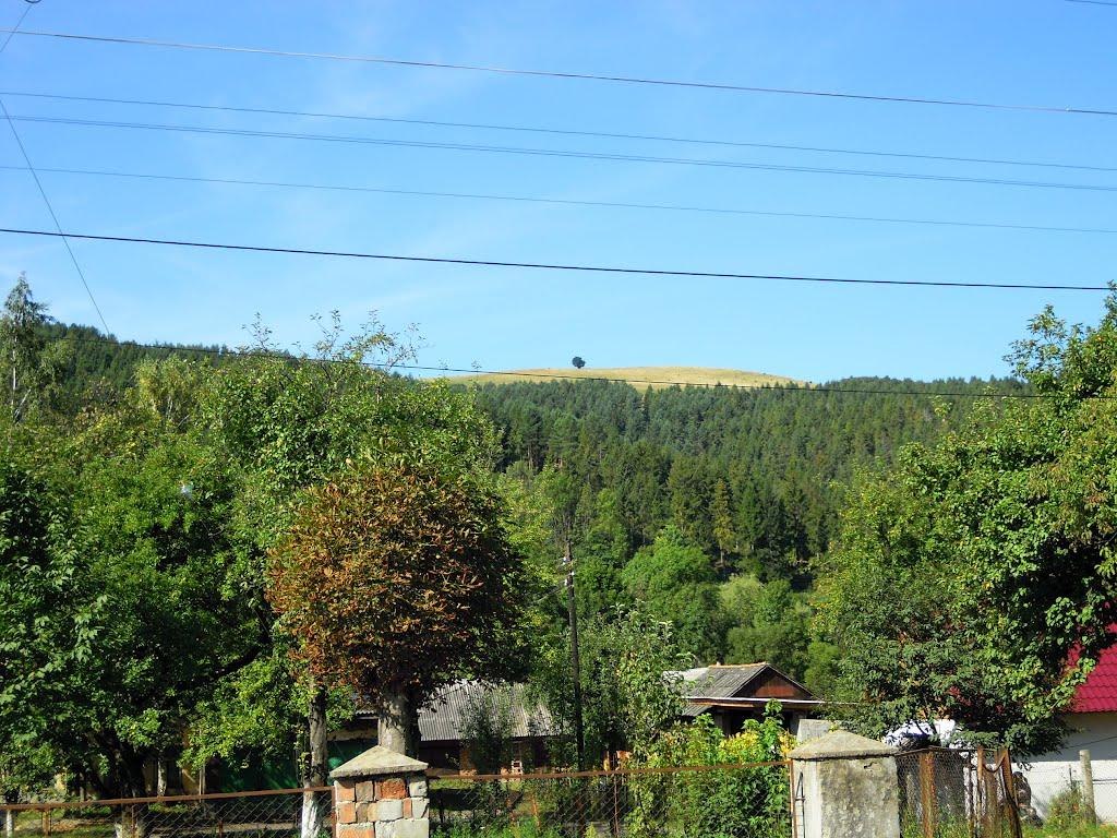 Нижні Ворота з panoramio.com - Нижні Ворота
