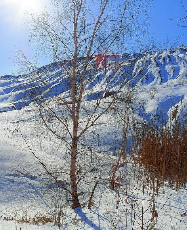 Єнакієве з panoramio.com (ч.3) - Енакиево