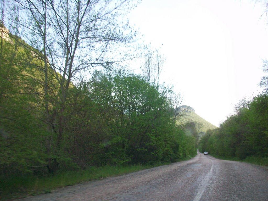 Залісне з panoramio.com (ч.2) - Залісне