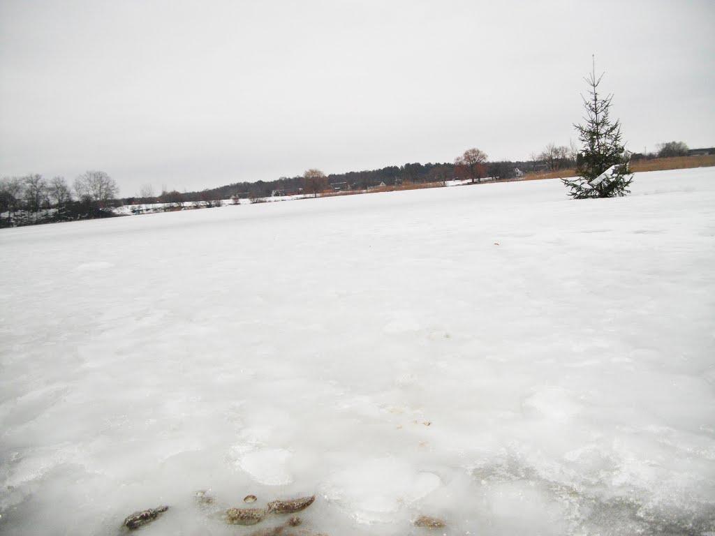 Озеро з panoramio.com - Озеро