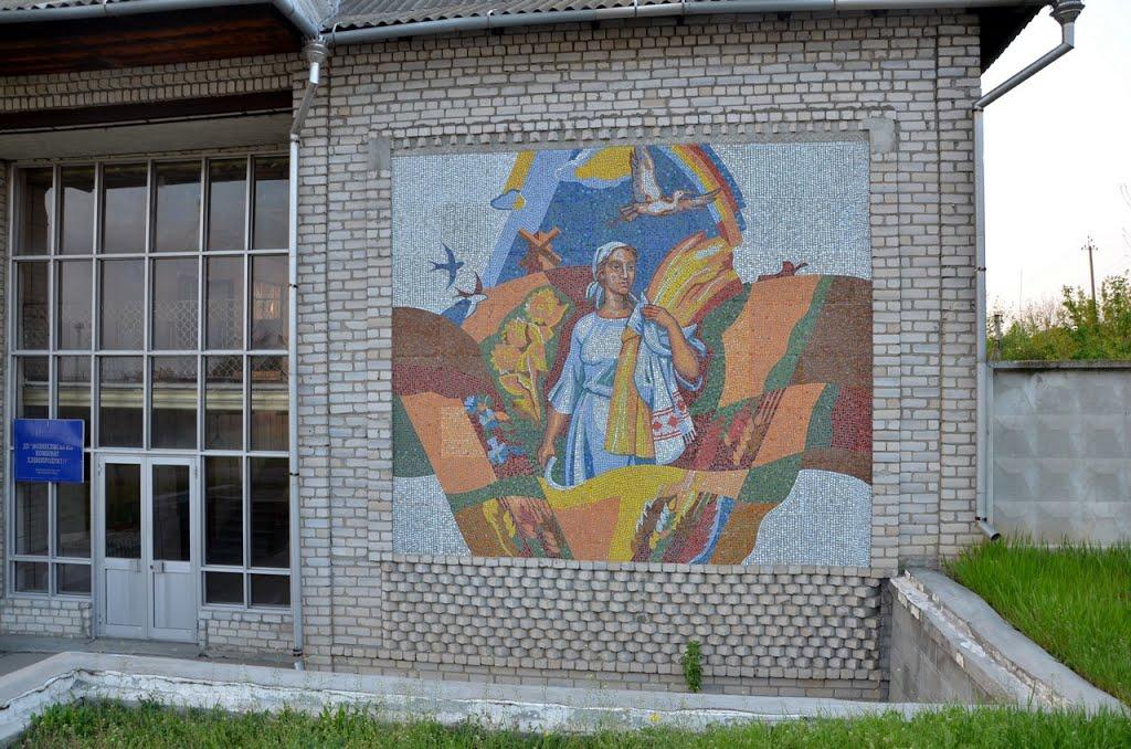 Вознесенськ з panoramio.com - Вознесенськ