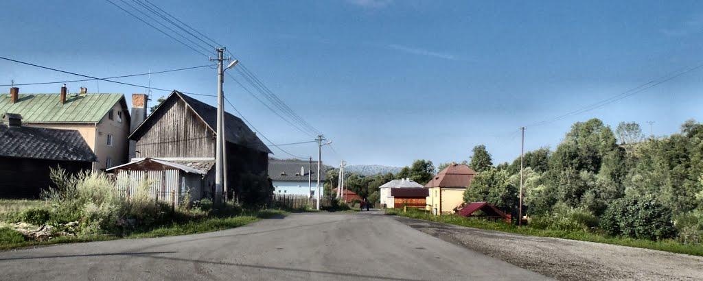 Княгиня з panoramio.com - Княгиня