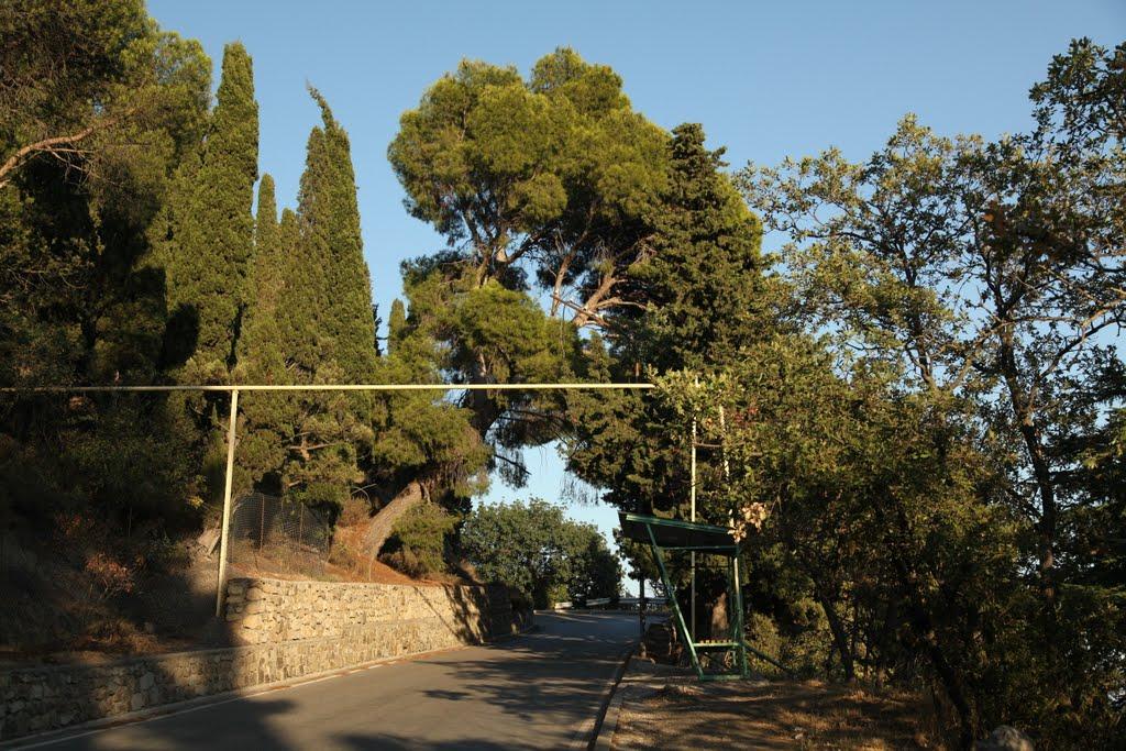 Масандра з panoramio.com - Masandra