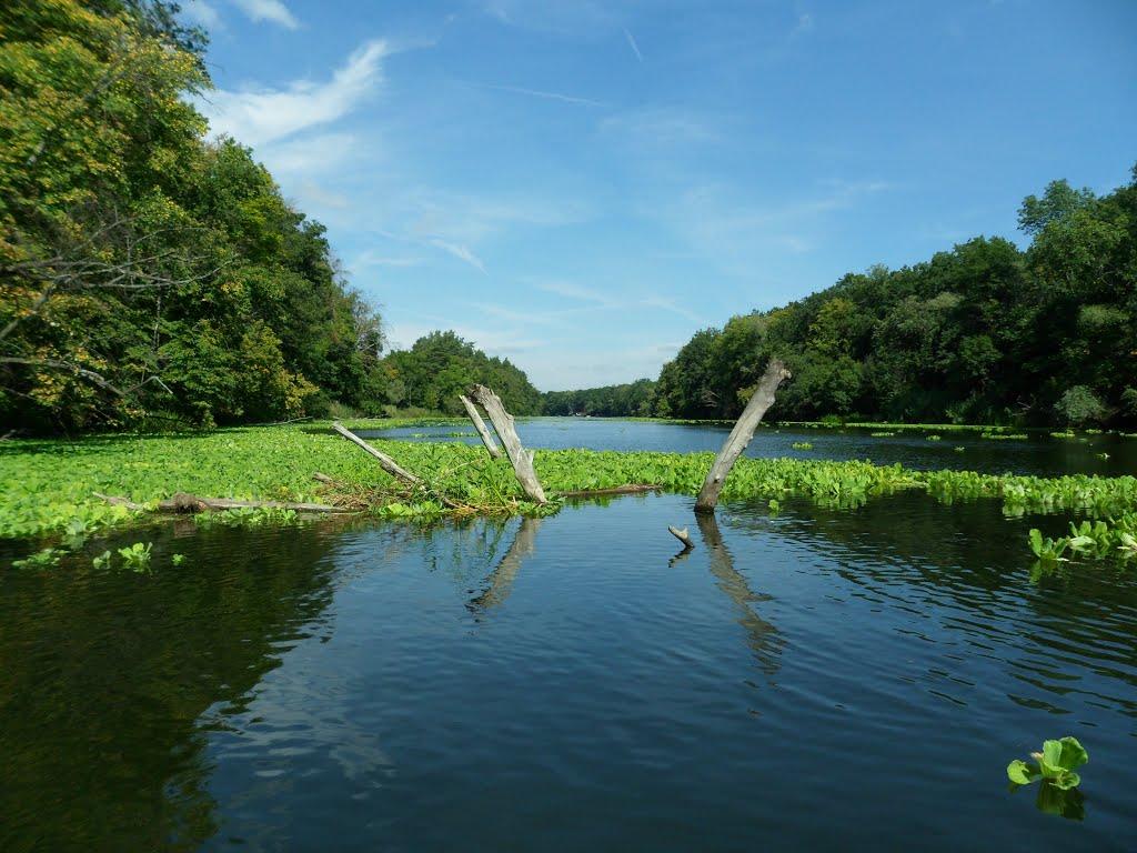 Коропове з panoramio.com - Коропово