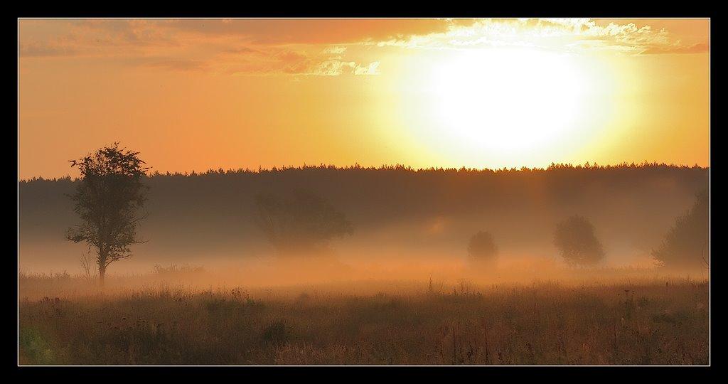 Суха Гомільша з panoramio.com - Суха Гомільша