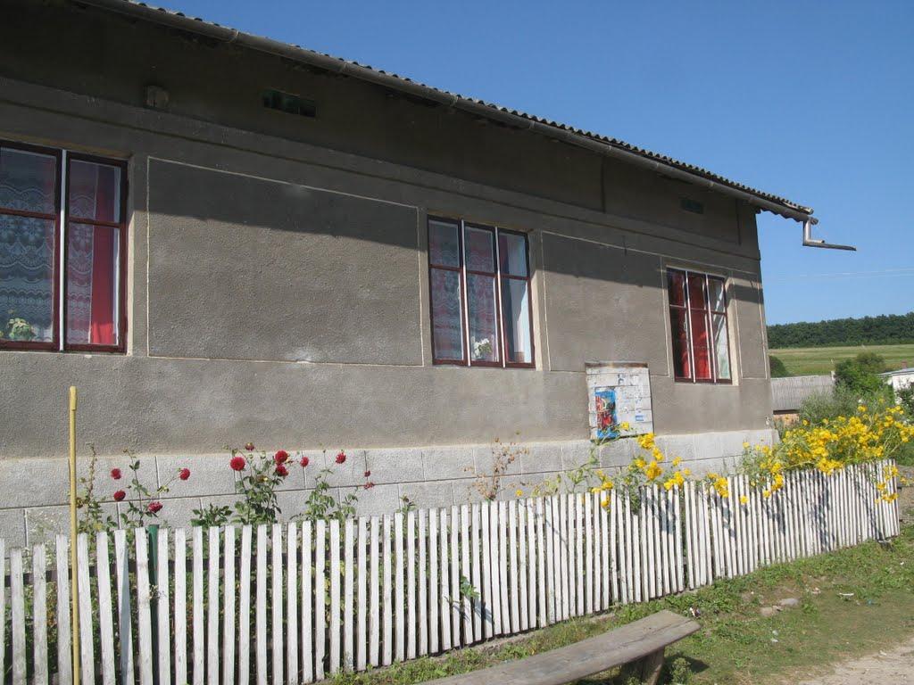 Лопушна з panoramio.com - Лопушна