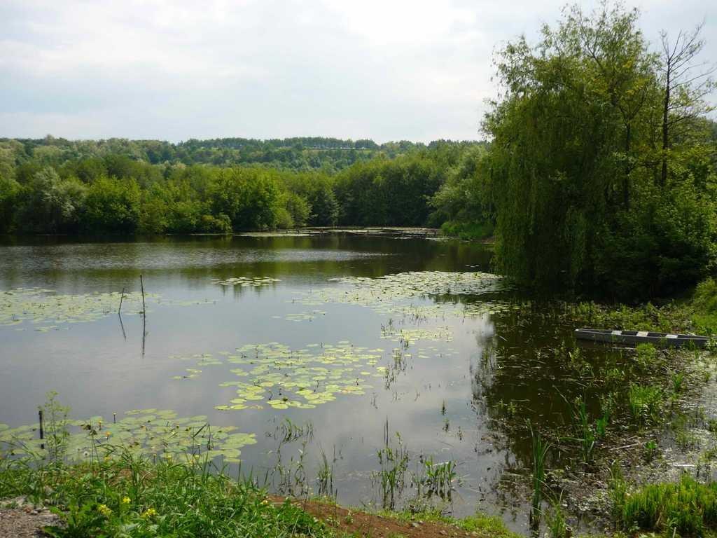 Ободівка з panoramio.com - Ободівка