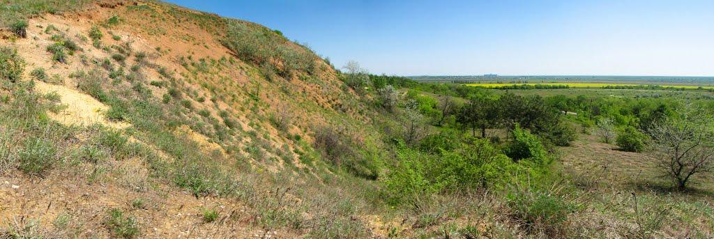 Виноградне з panoramio.com - Виноградне